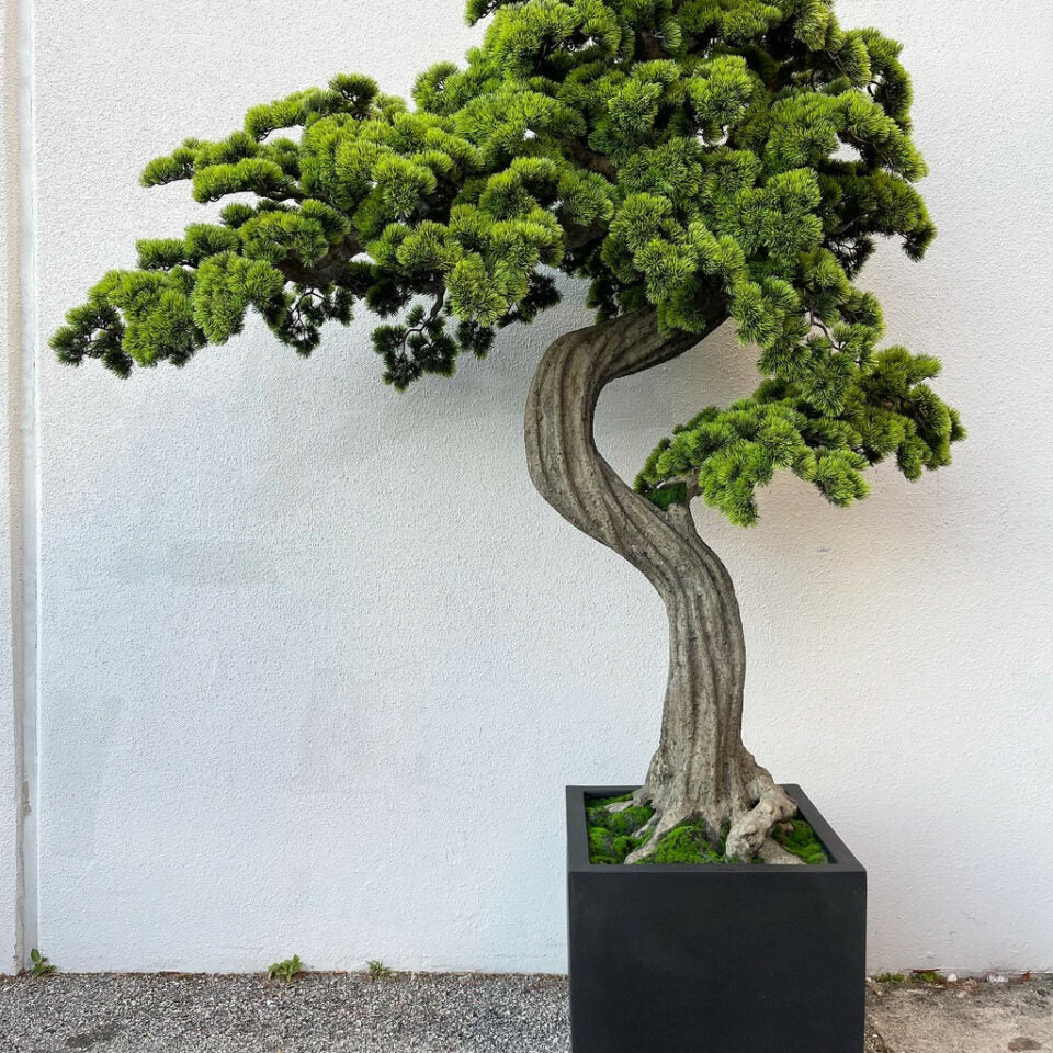 Large Bonsai Block M