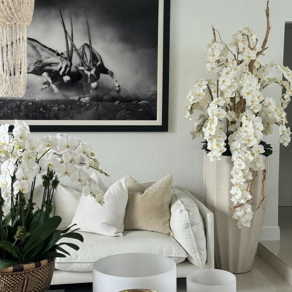 Sand beige vase “San Jose” with cascading white orchids