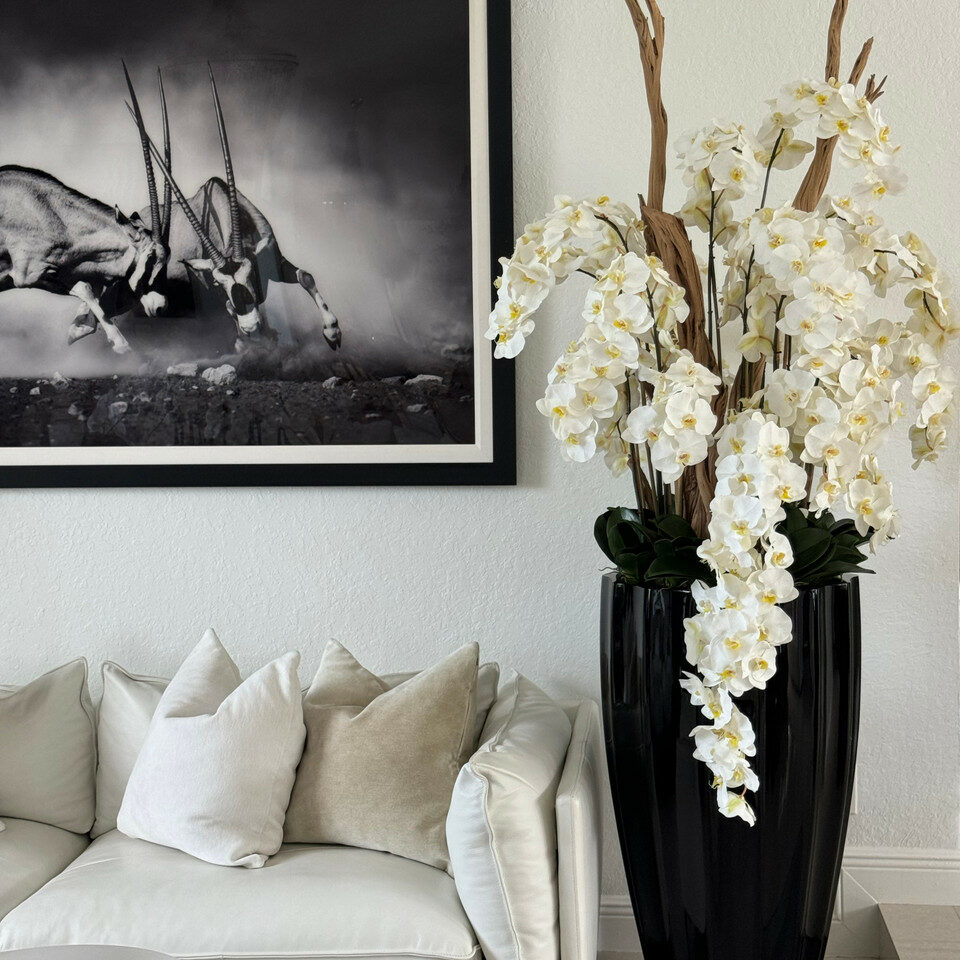 Glossy black San José vasecascade with white orchid