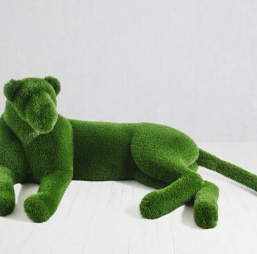 Topiary lioness